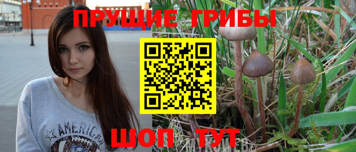 Галлюциногенные грибы Psilocybe Верхний Уфалей
